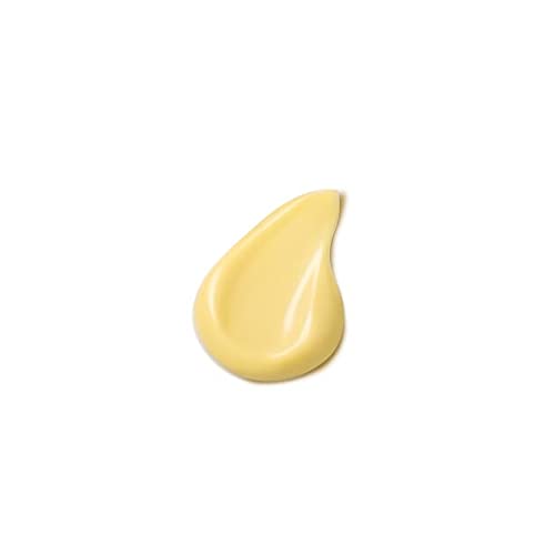 Dr. Hauschka Quince Day Cream - Refreshing Hydration & Protection | 1.0 fl oz