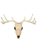 Deer Skull Wall Decor - 10 Point Buck Hanging Wall Art, Rustic Home Decor Variation of Buck Skull