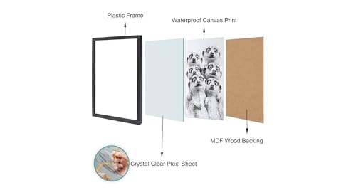 14 Inch Black and White Raccoon Group Photo Frame Wall Art - Bathroom & Kids Room Decor
