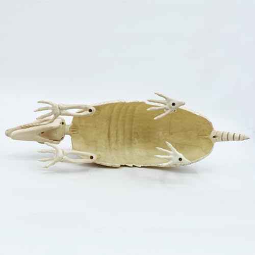 Armadillo Skeleton Halloween Decoration - Realistic Wildlife Scene, 14x4x6.25 Inches