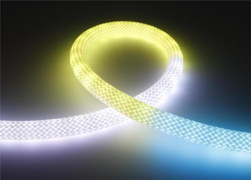 12V RGB Neon Rope Light 32.8FT LED Strip Waterproof Indoor Outdoor Decoration