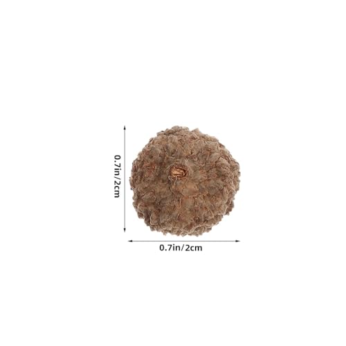 200pcs Natural Acorn Caps for Crafts Rustic Fall & Holiday Decor