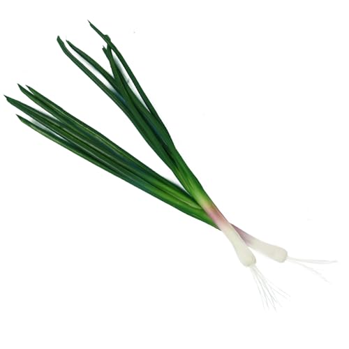 Fake Green Shallot Decorations - Lifelike Artificial Fruit Model for Home & Party, 2PCS