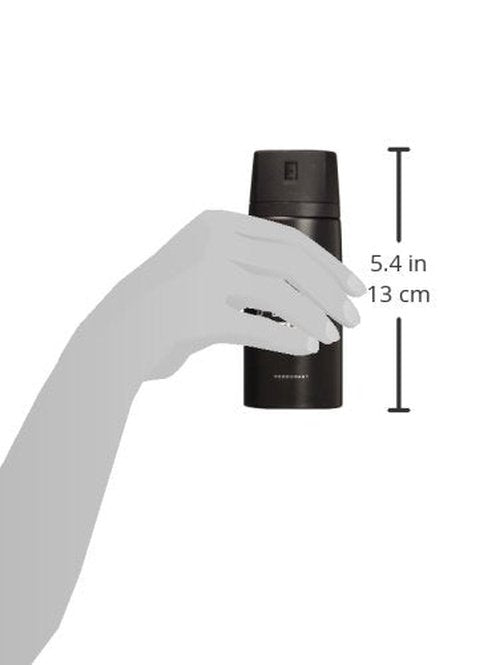 AXE Body Spray Excite (Pack of 6)(6 X 150 ml/5.07 oz)