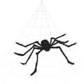 Giant Halloween Spider Decoration Set - 59-Inch Black Fuzzy Spider with Red Eyes & 200-Inch Web - Indoor Outdoor Halloween Decor - Variation of Halloween Spider + Web