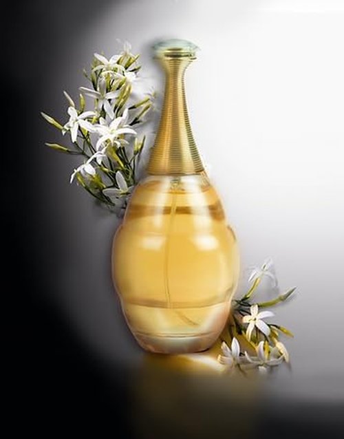Regine Switzerland Women's Perfume Gift Set - Floral & Fruity Eau de Parfum Collection | 4 x 3.4 FL OZ