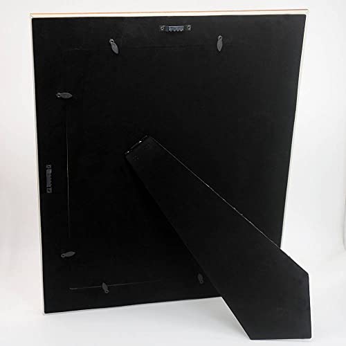 11x14 Mat & 8x10 Photo Frame Antique Gold with HD Organic Glass & Black Velvet Back - Variation of THIS listing