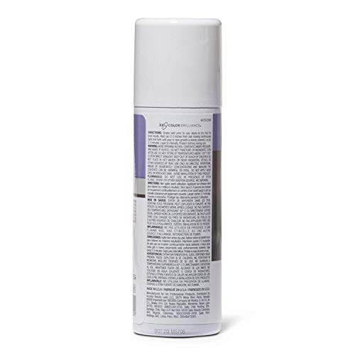 Ion Brunette Root Cover Airbrush Tint - Temporary Gray Concealer
