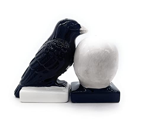 Halloween Skull and Raven Salt and Pepper Shaker Set Ceramic Gothic Decor