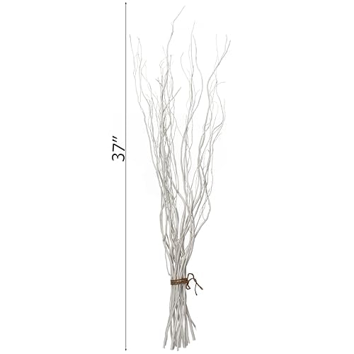White Painted Willow Twigs - 37 Inch Dried Natural Decorative Stems for DIY Crafts & Floral Arrangements - Set of 12