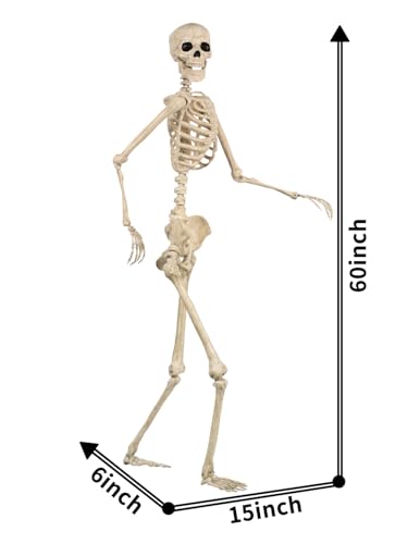 5 FT Life Size Skeleton Halloween Decoration with Posable Limbs