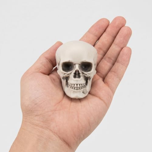 Mini Skull Decorations — 10 Pack Realistic Plastic Skeleton Props for Halloween & Spooky Events