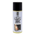 Salon Grafix High Beams Root Cover-Up Spray - Black, 2.7 oz - Temporary Hair Color