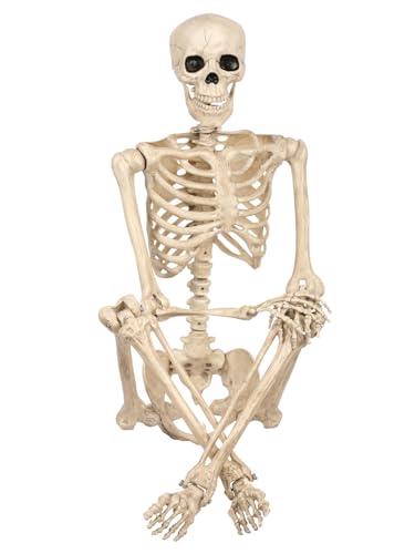 5 FT Life Size Skeleton Halloween Decoration with Posable Limbs