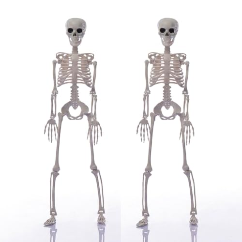 2-Pack 3FT Life Size Posable Halloween Skeletons with Movable Joints for Outdoor Yard Decor