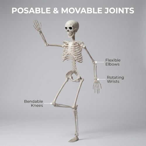 2-Pack 3FT Life Size Posable Halloween Skeletons with Movable Joints for Outdoor Yard Decor