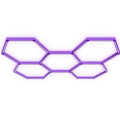 LED Hexagon Blacklights UV Black Lights Fixture for Party 5 Grids - Hex