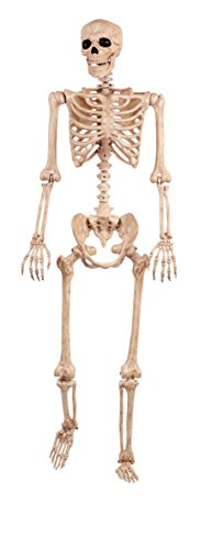 Pose-N-Stay Life-Size Halloween Skeleton - 5 FT, Realistic, Fully Poseable - Crazy Bonez