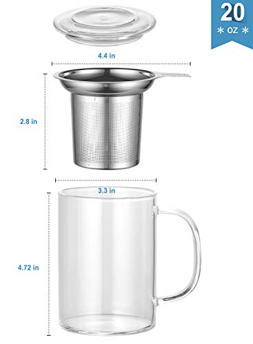 Glass Tea Mug with Infuser and Lid - 20 OZ Clear Borosilicate, Variation GM005