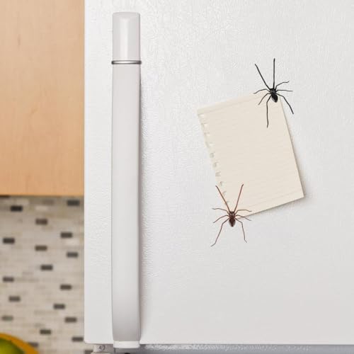 Spider Fridge Magnet Set - Realistic Black & Brown 2/4/6PCS Halloween Decoration