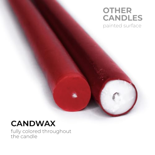12 Inch Burgundy Taper Candles Set of 12 Unscented Dripless Christmas & Party Decor