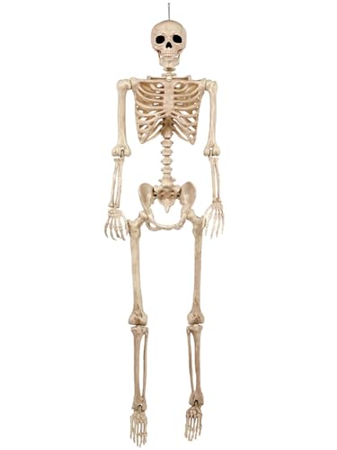 5 FT Life Size Skeleton Halloween Decoration with Posable Limbs