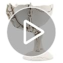Skeleton Hands Candy Holder Halloween Bowl for Trick-or-Treat & Party Decor