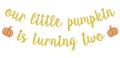 Autumn Second Birthday Banner - Pumpkin Theme for Halloween & Fall Parties
