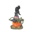 Halloween Feline Noir Cat on Pumpkin Dated Figurine - 2025 Village Accessory