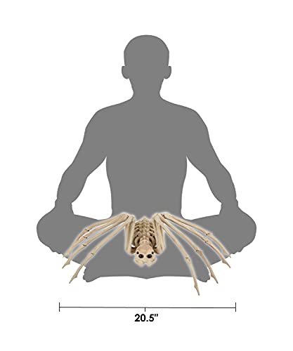 Skeleton Spider Halloween Decoration 20.5 x 12 Inches with Bendable Legs