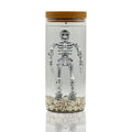 Skeleton Water Lamp - Creepy Horror Skeleton in Jar with Skulls, Silver Variation