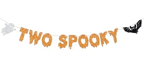 Halloween 2nd Birthday Banner - Spooky Hello Boo Bat Decorations for Kids