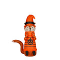 4 Ft Lighted Halloween Inflatable Otter in Witch Costume Yard Decor