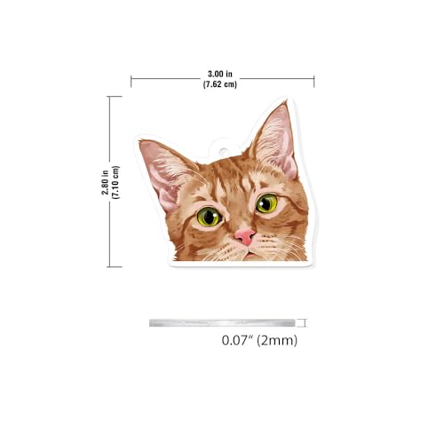 Acrylic Hanging Ornament for Christmas Tree Holiday Decor - Orange Tabby Kitten Cat