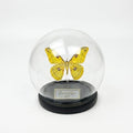 Loepa Butterfly Glass Globe Ornament - Real Winged Butterfly Aesthetic Decor for Bedroom & Desk