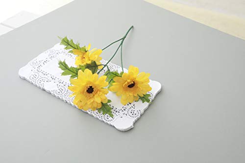 Rectangular Paper Doilies - Beige 11.8x15.74 Inches, 250 Sheets - Party & Wedding Table Decor