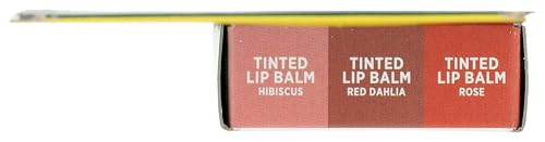 BURTS BEES Holiday Minis Lip Balm 3 Count, 1 EA