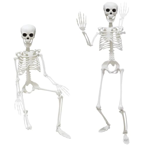 Gray 2-Pack Life Size Skeletons with Posable Joints for Halloween Decor - 3 Ft
