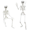 Gray 2-Pack Life Size Skeletons with Posable Joints for Halloween Decor - 3 Ft