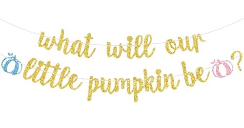 Little Pumpkin Baby Shower Banner Fall Halloween Thanksgiving Party Decorations