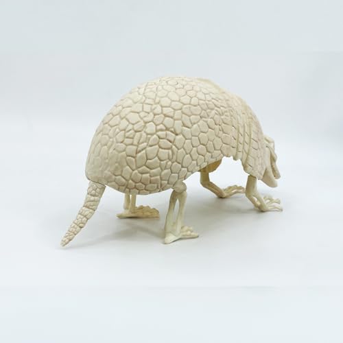 Armadillo Skeleton Halloween Decoration - Realistic Wildlife Scene, 14x4x6.25 Inches