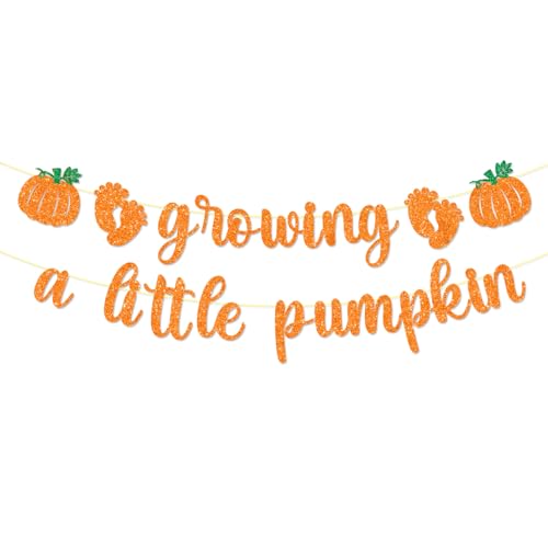 Growing a Little Pumpkin Banner Baby Shower Decorations Fall Halloween Thanksgiving