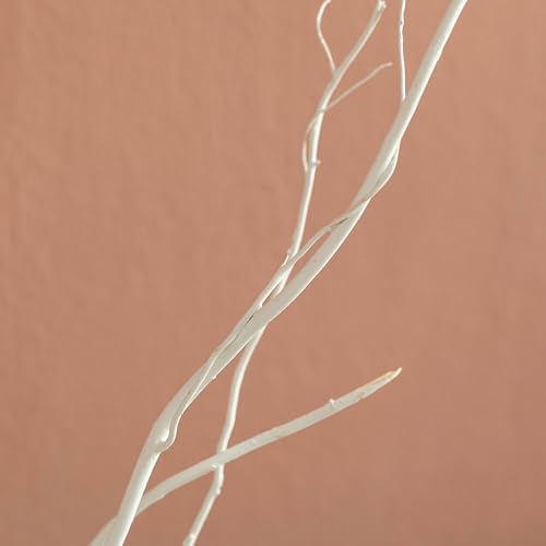 White Painted Willow Twigs - 37 Inch Dried Natural Decorative Stems for DIY Crafts & Floral Arrangements - Set of 12