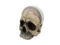 Gothic Skull Drink Coasters Set with Holder - 4 Absorbent Bar Accessories