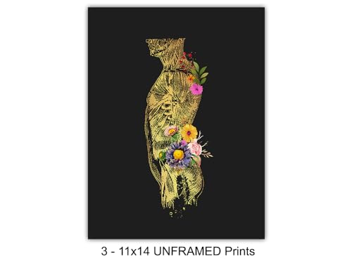 Human Anatomy Poster 11x14 Inches - Nurse & Medical Wall Art - Unframed Decor for Hospital & Office - Variation of THIS listing