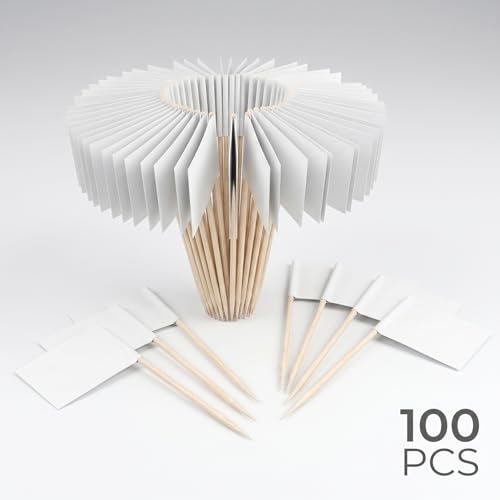 White Toothpick Flags for Food Labels & Cake Toppers - 100pcs