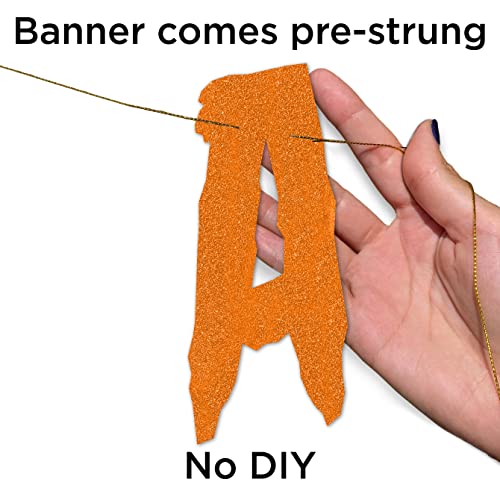Pre-String Ghouls Just Wanna Have Fun Glitter Banner - Birthday Party Decorations