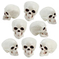 Halloween Skull Heads Decor - 8 Pieces Plastic Realistic Human Skeletons - 1.8 x 2 x 2.4 Inches