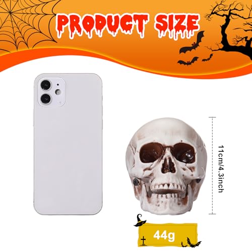 Sratte 4.3 Inch Halloween Plastic Human Skull Decorations - Realistic Fake Head Bones (Set of 4)