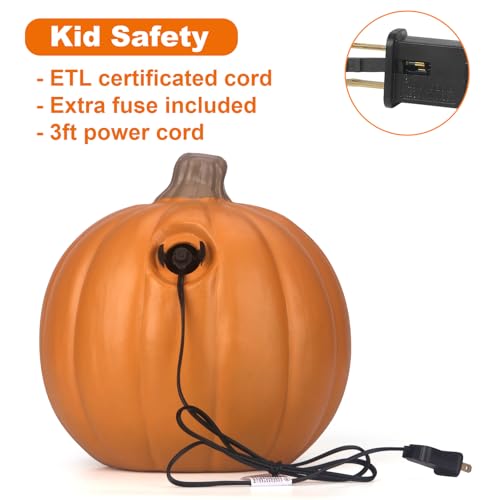 10-Inch Jack O Lantern Halloween Pumpkin Lantern Lighted Decor - R Variation